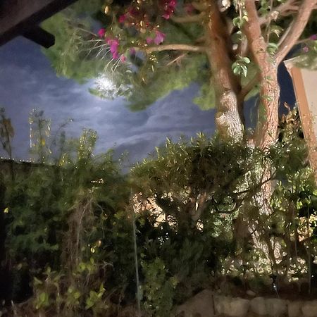 Studio Bandol Avec Jardin Exterior photo